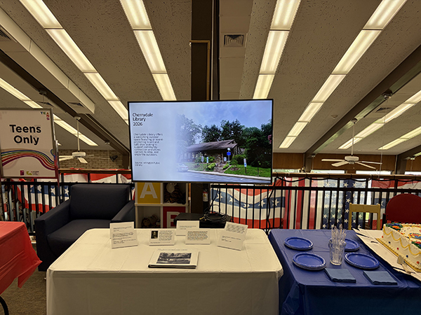 Video Screen